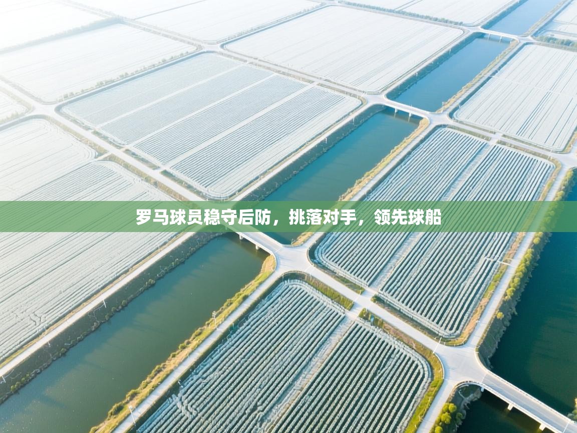 罗马球员稳守后防,挑落对手,领先球船 第1张