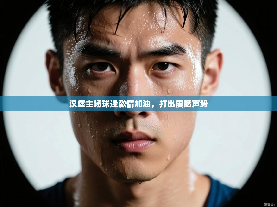 汉堡主场球迷激情加油,打出震撼声势 第1张