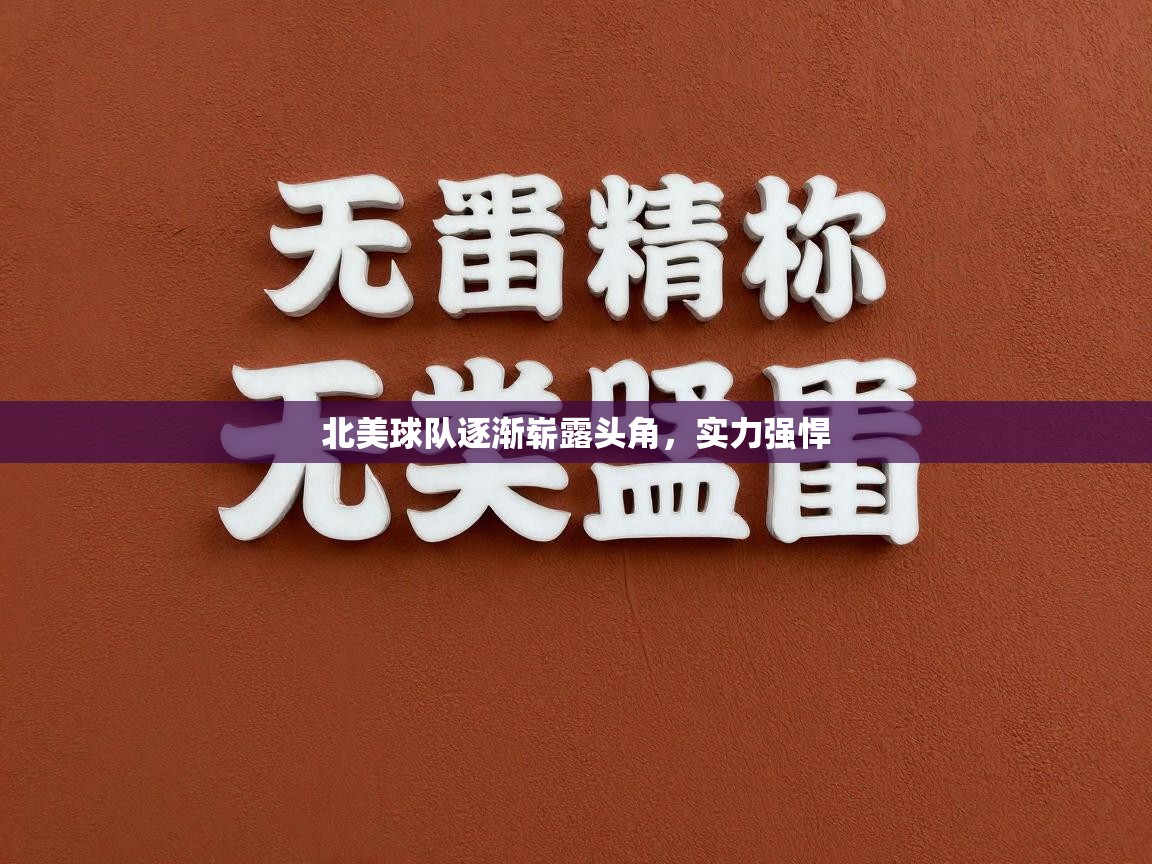 北美球队逐渐崭露头角，实力强悍  第2张