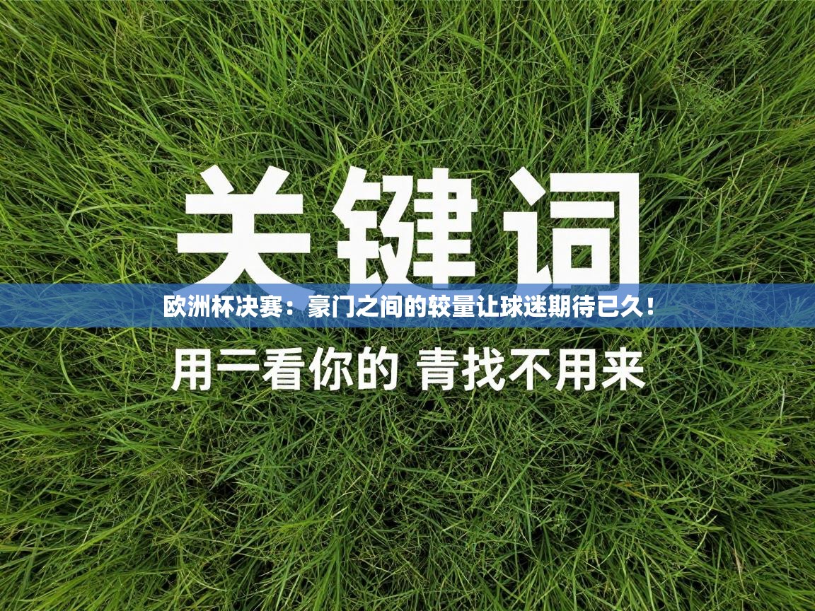 欧洲杯决赛:豪门之间的较量让球迷期待已久! 第2张