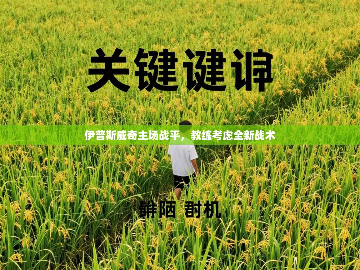 伊普斯威奇主场战平，教练考虑全新战术  第2张