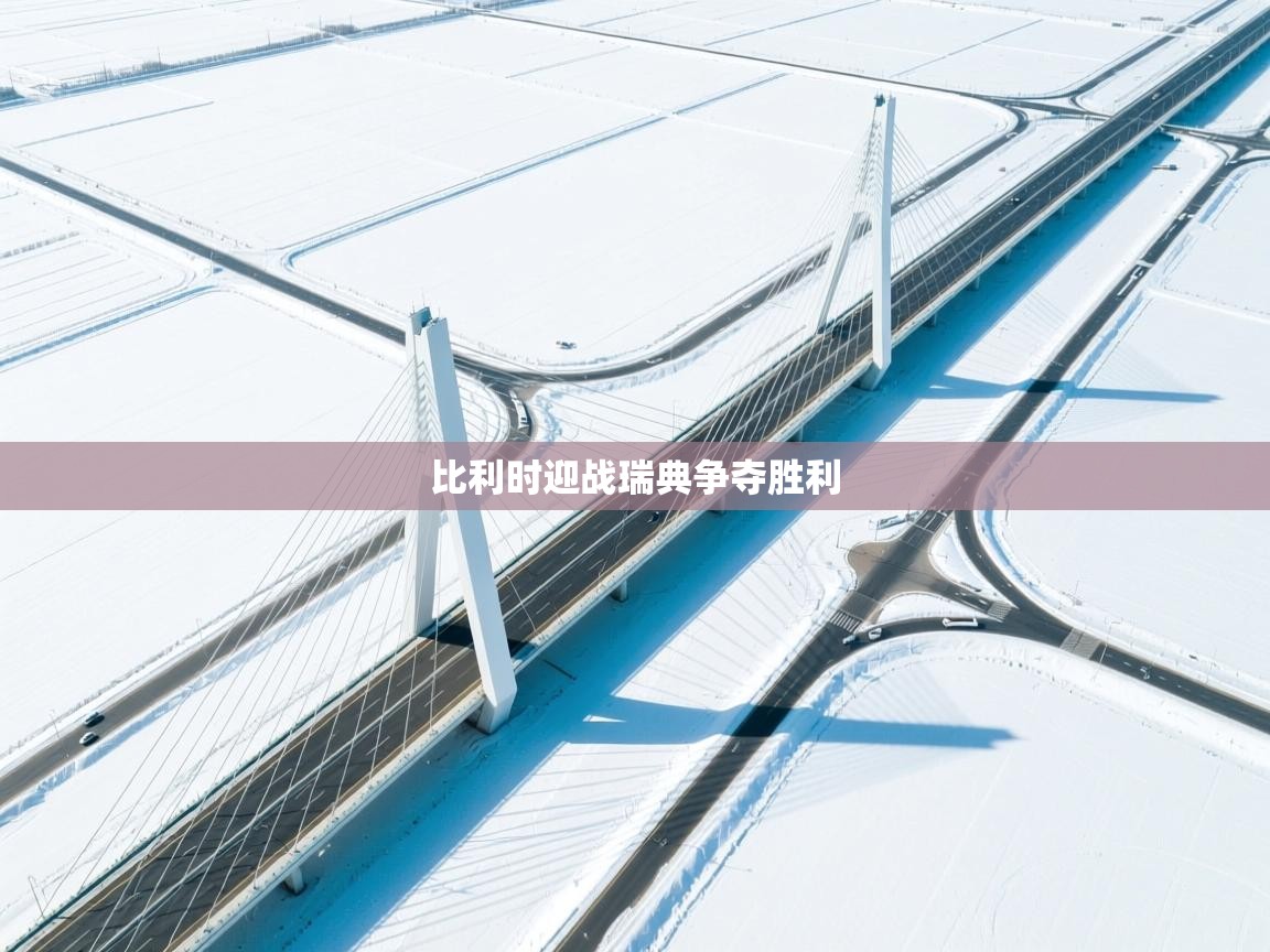 比利时迎战瑞典争夺胜利  第1张