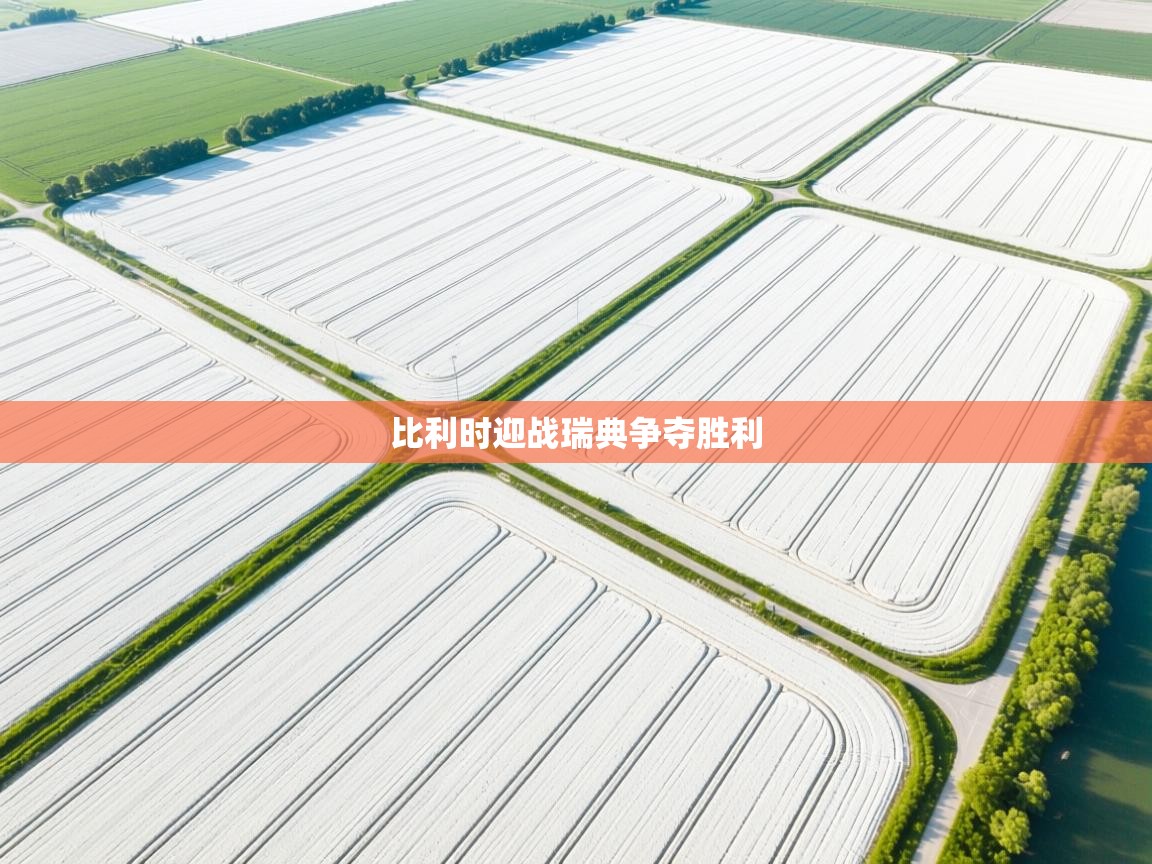 比利时迎战瑞典争夺胜利  第2张