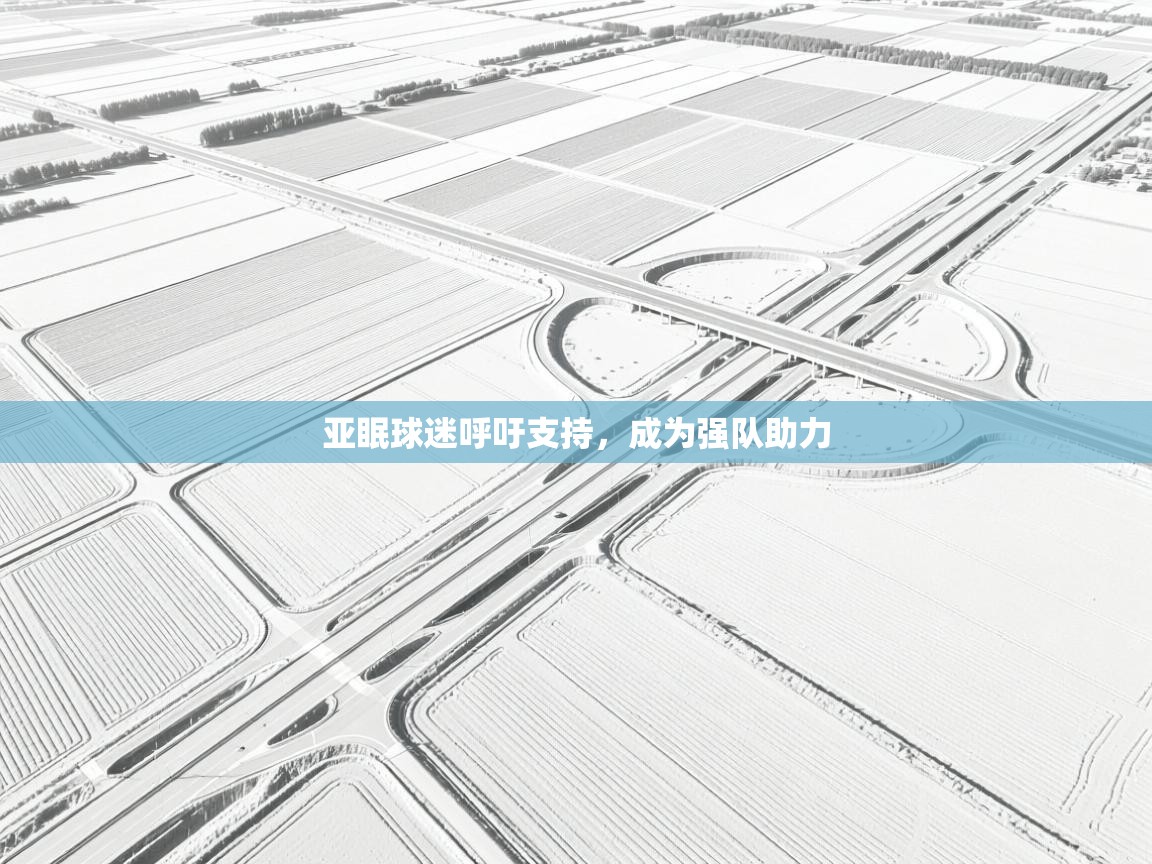 亚眠球迷呼吁支持，成为强队助力  第1张