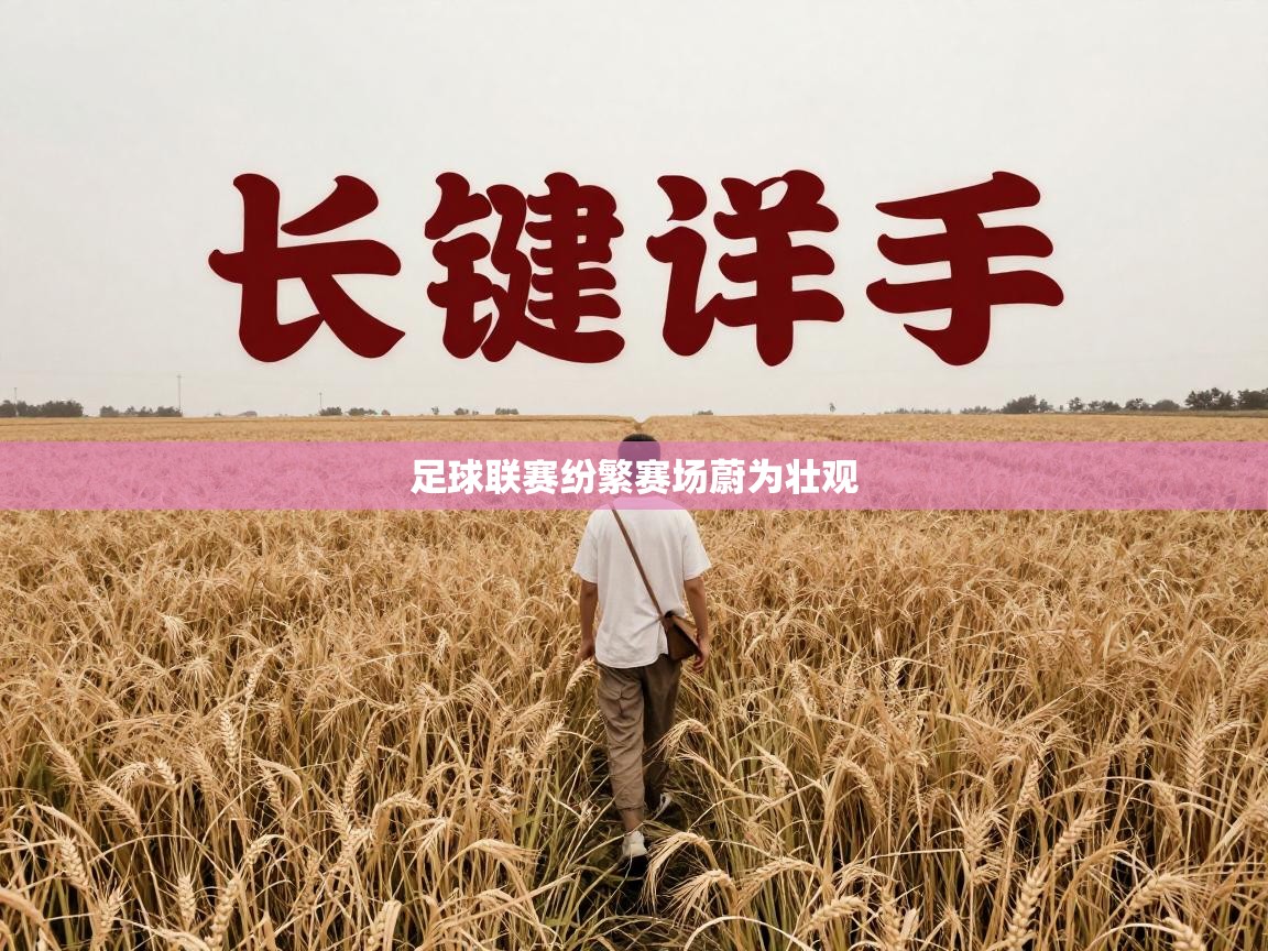 足球联赛纷繁赛场蔚为壮观  第1张