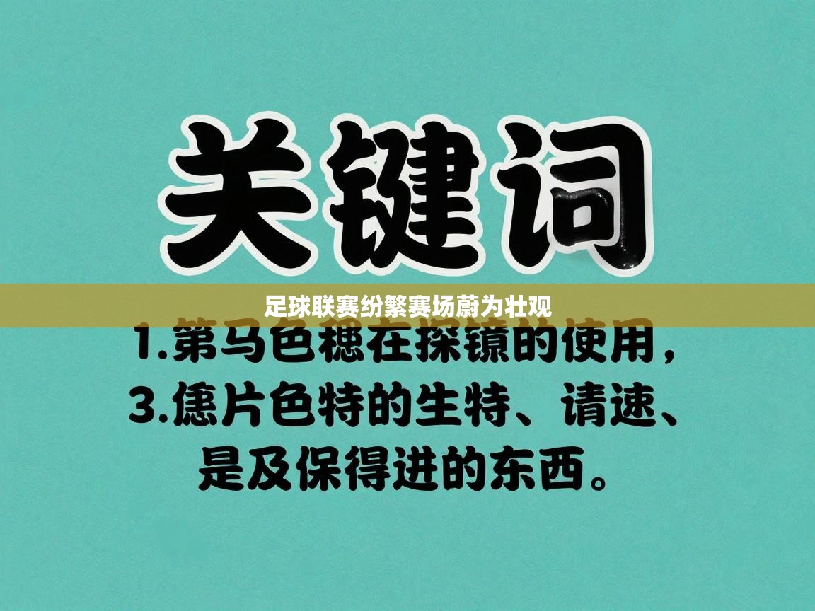 足球联赛纷繁赛场蔚为壮观  第2张