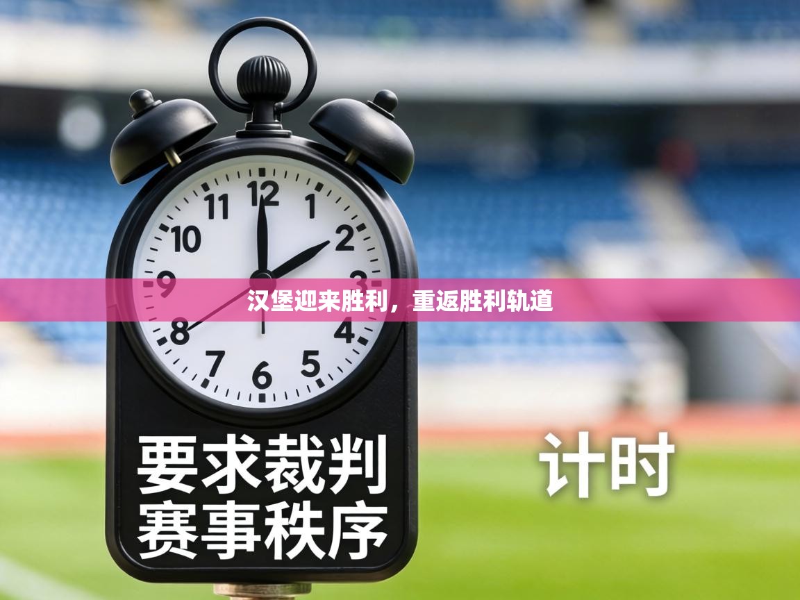 汉堡迎来胜利,重返胜利轨道 第1张