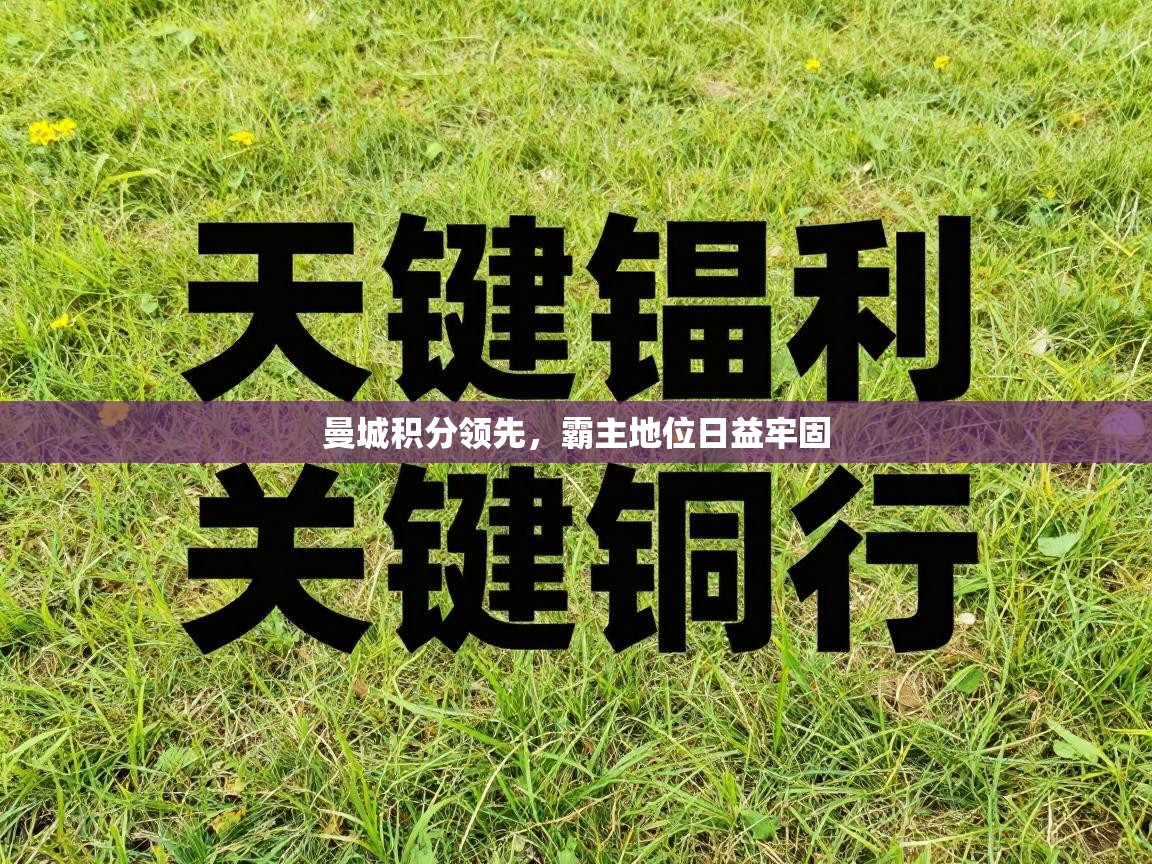 曼城积分领先，霸主地位日益牢固  第2张